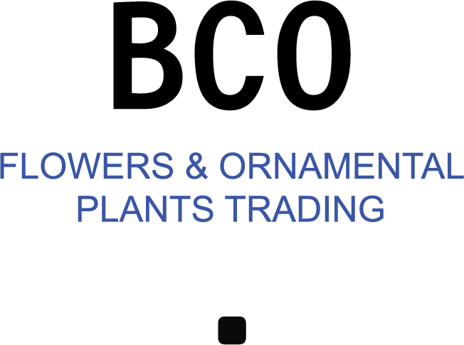 BCO Flowers